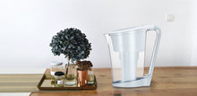 Water Filter ACE BIO+ 1.0lt - BARE by Bauer
